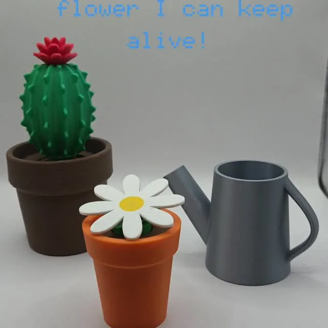 3D printed cactus and flower planters